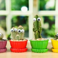 Как придать интерьеру свежесть и новизну без особых усилий и затрат