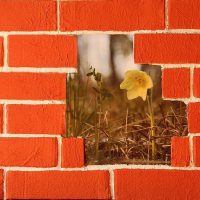 Имитация декоративной кирпичной кладки в современном интерьере — фото