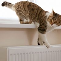 Власти заявили о готовности Москвы к отопительному сезону