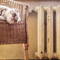 В Москве открыли горячую линию по вопросам отопительного сезона