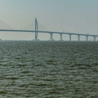 Дельфины не пострадали при строительстве самого длинного морского моста