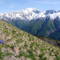 WWF рассказал, чем опасна прокладка дороги в Кавказском заповеднике