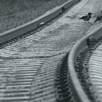 Пятый путь на Ярославском направлении МЖД откроют в ближайшее время