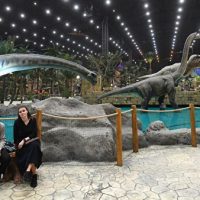 «Остров мечты» работает в штатном режиме