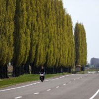 В Самаре появится первая в России «умная» трасса