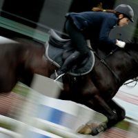 В Москве построили конноспортивный комплекс