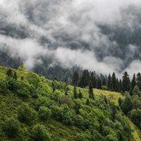 В горах Сочи открылись три необычные мини-гостиницы