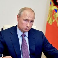 Путин поручил реконструировать дорогу к приюту «Дино» под Волгоградом