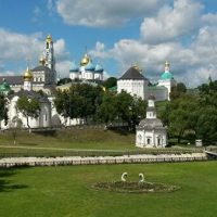 Прокуратура изучит сведения об угрозе обрушения моста в Подмосковье